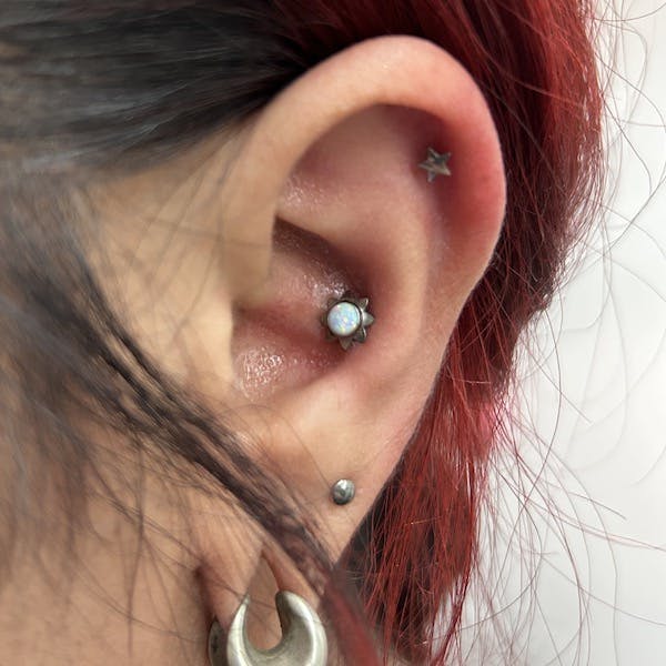 conch piercing by paola, fattys tattoos and piercings