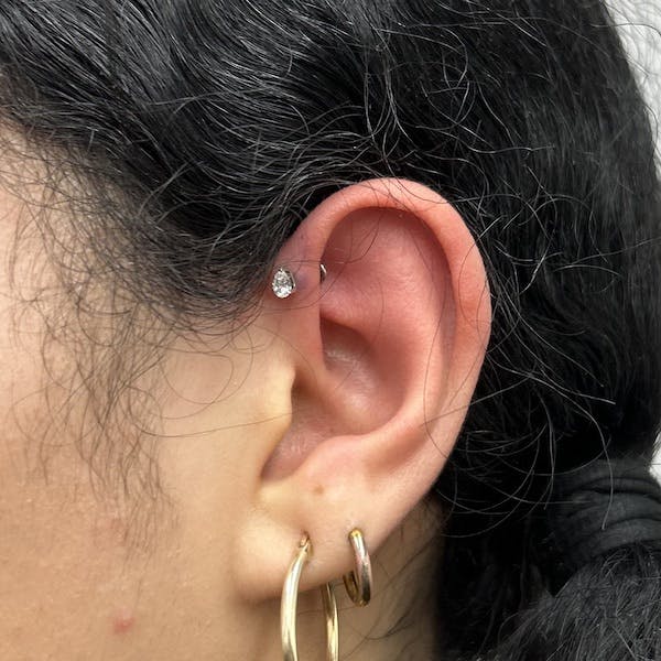 forward helix piercing by paola, fattys tattoos and piercings