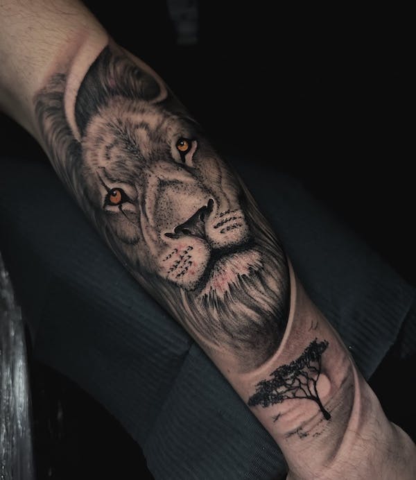 Lion and savanah portrait tattoo by Alex, artist at Fattys Tattoos & Piercings