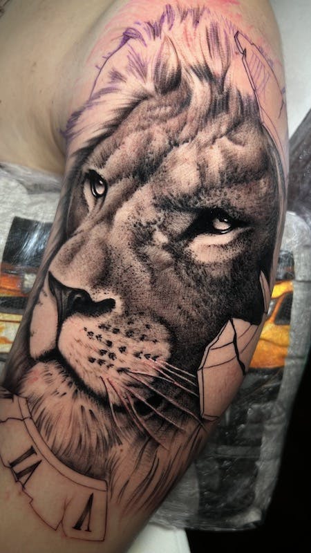 Realistic Lion tattoo by Alex, artist at Fattys Tattoos & Piercings